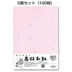 5ZbgbzOa܂@Ԑ@sNME-404@[OAa@A4@20@v^[p