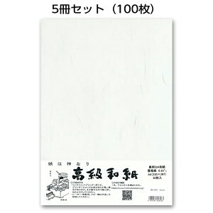 5ZbgbzOa܂@_@ME-601@OAa@A4@20@v^[p