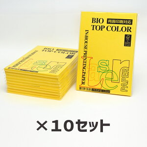 10Zbgb ɓ oCIgbvJ[BT129 }X^[h 80g 1100Itoya mondi BIO TOP COLOR