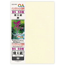 菅公工業 OA和紙「冴SAE」 リ709飛天紙・卵 B5 50枚大礼タイプ・とりのこ色の和紙