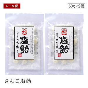 y[ցz񂲉 60g 2Zbg RH{  ^_  X|[c }\ E M