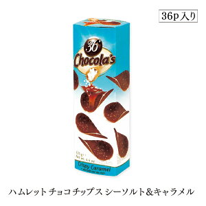 【訳あり/賞味期限2025年11月12日】ハムレットチョコチップス36P シーソルト&キャラメル