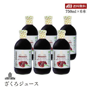 yzI[KjbNW[X Y Xg[g ʏ` 100% 750ml 6{Zbg v} W[WAY D e XN PMS s GXgQ GO_ t_ L@JAS F hN 