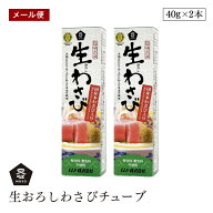 【メール便】ムソー 旨味本来 生おろしわさびチューブ 40g 2個セット 西洋わさびと本わさびを使用 山葵 …