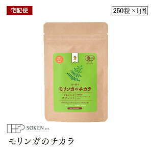 yzցzn K̃`J L@K ^ubg 250 (25g) ꌧY I[KjbNK L@JASF Free Our Soul