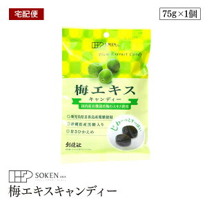 yzցzn YL@͔|~GLXgp ~GLXLfB[ 75g 