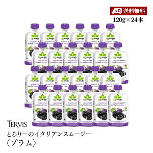 yzƂ[̃C^AX[W[v 120g 24{Zbg TERVIS L@JASF A~pE` ₦\h GlM[⋋