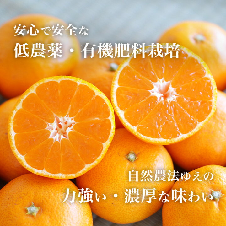 楽天市場 三ヶ日みかん 低農薬 有機肥料栽培 位田 いんでん さんちの 三ケ日みかん 早生 わせ 5kg S Lサイズ混合 静岡 三ケ日 静岡グルメ セレクトフードコパン