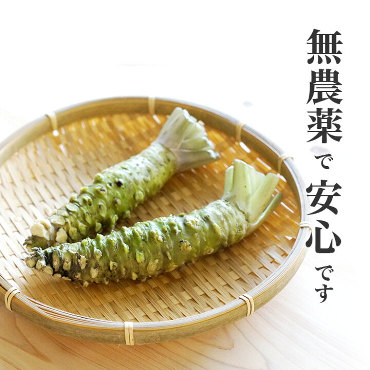 楽天市場】本わさび 【静岡 伊豆】 本わさび (生わさび)40g以上 1本 : 静岡グルメ セレクトフードコパン 楽天市場】本わさび 【静岡 伊豆】 本わさび (生わさび)40g以上 1本 : 静岡グルメ セレクトフードコパン
