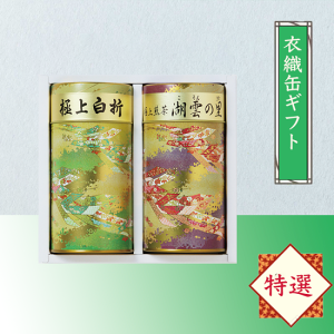璃 ߐDʃMtg /  Mtg v[g Mtg   lߍ킹Mtg Β    j Ԃ j lC MtgZbg 2Zbg 2