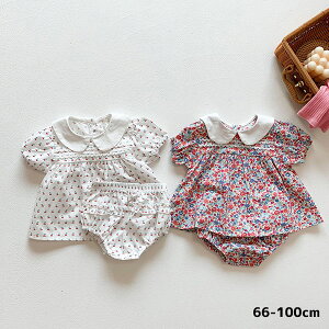 ԕ `F[ EhJ[gbvX u}2_Zbg ̎q {Q މ@ oYj Zbg xr[ V v[g Mtg ꒅ ʐ^Be Sj 100j n[to[Xf[ j