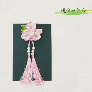 ܂ݍ׍H čՂ  ̎q̗߂ɘawAANZ xr[ qp Ԃ wAANZT[ |Cg IV  ̎q xr[炨ôɂ a