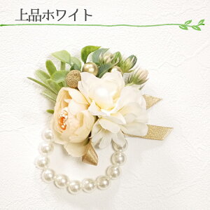 RT[W sAXZbg fB[X  Jt i zCg ؂₩sN p[ tH[} Ԃ sN Ǝ  w   }}X[c i   Ă΂ 