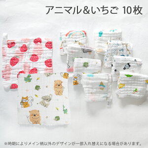 y11I5NӁz[vt^I 10Zbg 25×25cm [vt [vt ^I Zbg @^I X ̎q j̎q ۈ牀 [vt^I xr[^I ʉ z