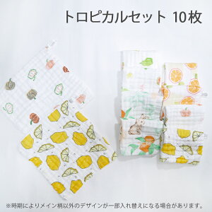 y11I5NӁz[vt^I 10Zbg 25×25cm [vt [vt ^I Zbg @^I X ̎q j̎q ۈ牀 [vt^I xr[^I ʉ z