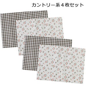 yPi肨zlC̃uEn4Zbg 􂢑ւ `}bg `NX 30×40cm wZH w fUC itL NX wTCY H}bg Hp k wZ ct 