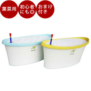 バジル 栽培セットの人気商品 通販 価格比較 価格 Com