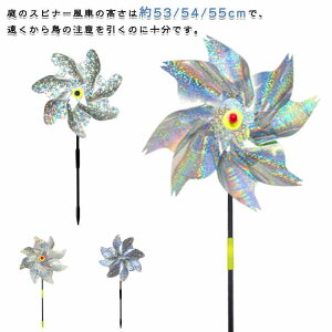 10Zbg 悯  LL  h ǂ 悯 ߂ 镗 JX悯 Vv n ŉ镗 炷 ̃t΍ JX悯ObY JX΍ | 