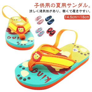 LbY xr[ r[`T_ ̎q j̎q ƕt St T_ V V }V[Y  p C r[`V[Y  Eɂ ct ۈ牀 2 3 