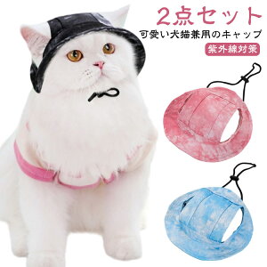  L Xq Lbv ybgp nbg O΍ AEghA ăoeh~ 2_Zbg  oPbgnbg Rt o  MǑ΍ 悯 h h Εt  킢