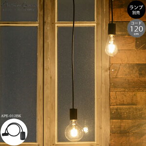 Another garden SWAN BULB SOCKET 120 Xou\Pbg ubN LED v Ή Vv _ _CjOp JtFp Xܗp g  y_gCg Ɩ