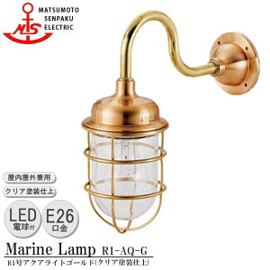 {D R1ANACgS[h R1-AQ-G LED Ɩ ^J }v iMALINE LAMPj AEghA Cg ǕtƖ GNXeAƖ |[`Cg  O Op