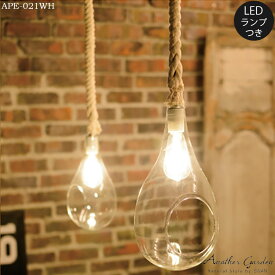 【レビューでプレゼント】スワン電器 Another garden BOTANIC HANGING LIGHT APE-021 ボタニックハンギングライト M おしゃれ LED ハロウィン 照明 植物 店舗用 カフェ用 インテリア あす楽 六本木クラス