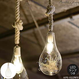 【レビューでプレゼント】スワン電器 Another garden BOTANIC HANGING LIGHT ボタニックハンギングライト S ペンダントライト LED おしゃれ LED 西海岸 照明 植物 あす楽 ロープソケット テラリウム 六本木クラス