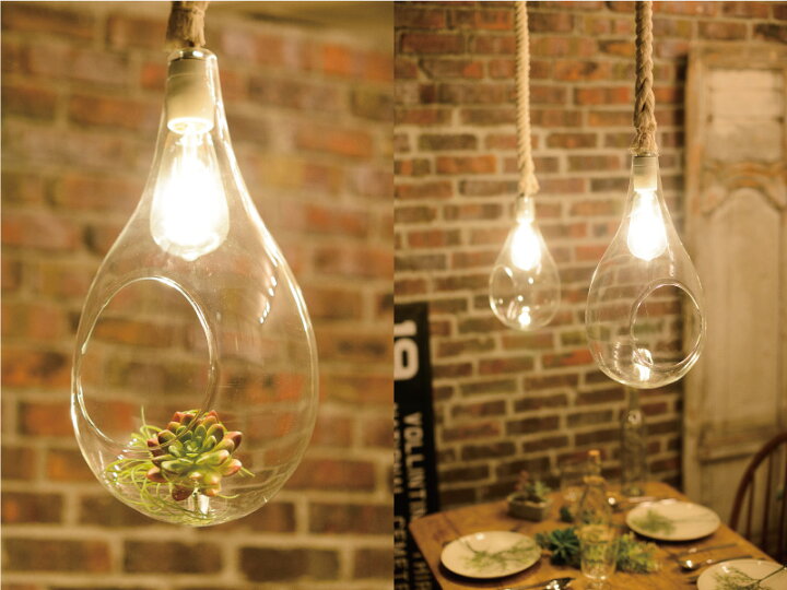 世界的に有名な スワン電器 Another garden BOTANIC HANGING LIGHT ボタニックハンギングライト S