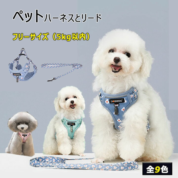 楽天市場 2点以上35 Offクーポン ハーネス 小型犬 ハーネス リード ２点セット ペット用品 全９種 ハーネスフリーサーズ 体重5ｋｇ以内 リード152cm バックルで簡単着脱 歩行補助 しつけ 家の中でもペットコントロール 可愛い おしゃれハーネス Dream Shop Sherrock