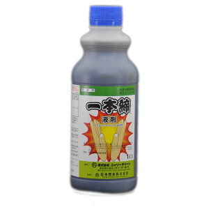 ŗp  {t 1L LtG G΍ XMi RECVo mVo u[OX 