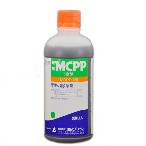 ŗp  MCPPt 500ml Ő G ΍ { u[OX N[o[ XMi