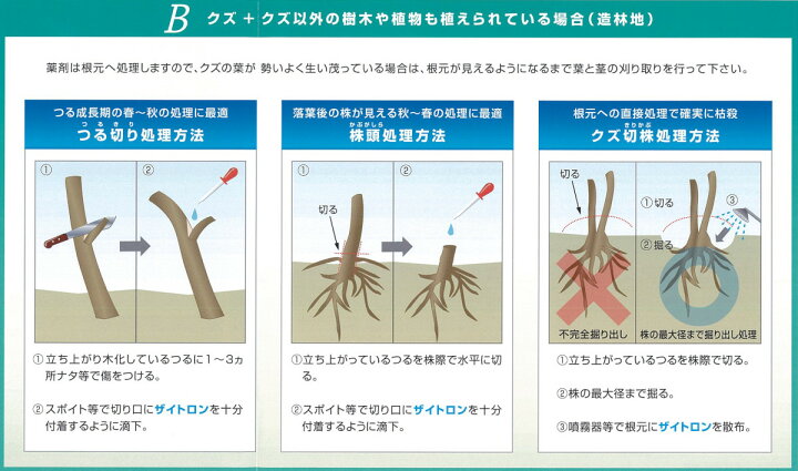 楽天市場】芝用 除草剤 ザイトロンアミン液剤 1L 芝生 雑草 対策 日本芝 マメ科 キク科 ニセアカシア : 芝草ドットコム商店 楽天市場】芝用 除草剤 ザイトロンアミン液剤 1L 芝生 雑草 対策 日本芝 マメ科 キク科 ニセアカシア : 芝草ドットコム商店