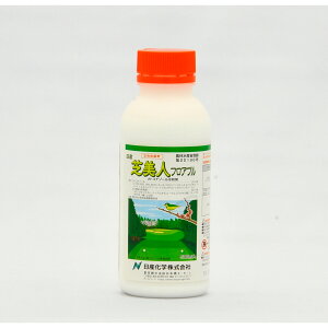 ŗp Eۍ ŔltAu 500ml St Βn ΍ _[X|bg [Wpb` { xgOX COX u[OX