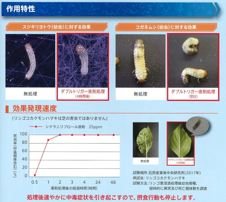 楽天市場 芝用 殺虫剤 ダブルトリガー液剤 500ml 害虫 対策 殺虫 シバツトガ タマナヤガ スジキリヨトウ シバオサゾウムシ コガネムシ類幼虫 ケラ 芝草ドットコム商店 楽天市場 芝用 殺虫剤 ダブルトリガー液剤 500ml 害虫 対策 殺虫 シバツトガ タマナヤガ スジキリヨトウ シバオサゾウムシ コガネムシ類幼虫 ケラ 芝草ドットコム商店