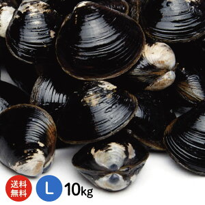 yz Ɩp ΎY  Ⓚ LTCY10kgi1kg×10܁A10LjXE\O΂ɕԓ{L̋lʂւ铇E΂YnyY@儁@ⓀVW~@a