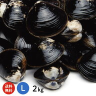 【送料無料】 宍道湖産 砂抜き済 冷凍しじみ Lサイズ2kg（1kg×2袋、2キロ）青森県・十三湖に並ぶ日本有…