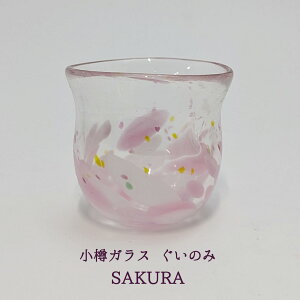 MKX ̂ SAKURA MɎqH[ YցiMKXĵ 蕨 MKXOX MKX蕨 MKXMtg MKXv[g ̂ݑ蕨 