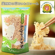 山のするめ大根 35g 笑顔畑の山ちゃんファーム そのまま食べられる切り干し大根 国産 切干大根 TVで話題 …