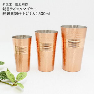 V V ȋN ȖڃC^u[ fdグ() 500ml rAJbv ACXR[q[ EہERی _ ܂₩ ȋN 蕨 hV̓ aG lGʓ 