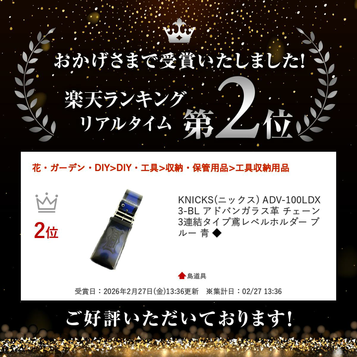 楽天市場】＼上位入賞／ KNICKS(ニックス) ADV-100LDX3-BL アドバン