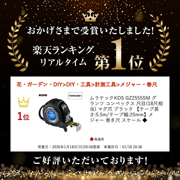 サク　Sグランベルム ZXZ　不要機ボリューム調整付 楽天市場】＼上位入賞／ ムラテックKDS GZ2555SM グランツ
