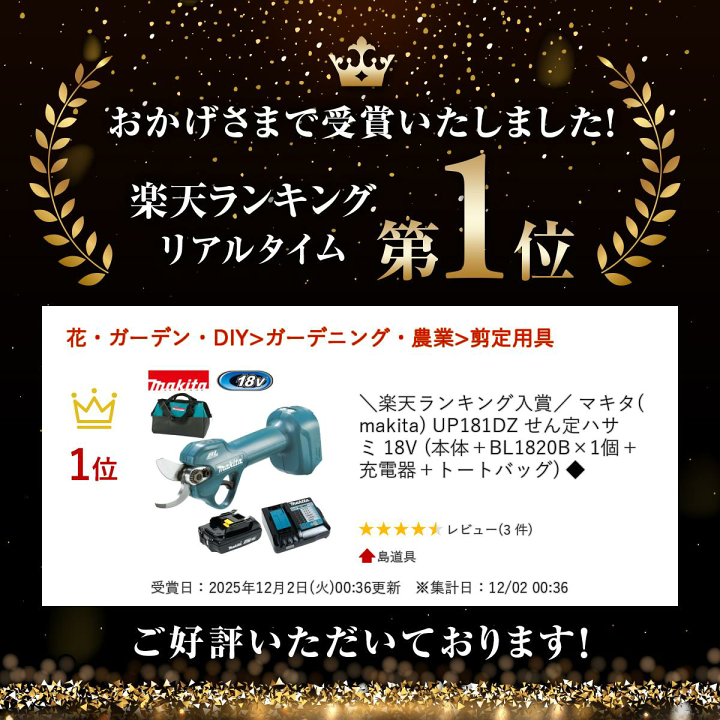 楽天市場】【11/1限定1,000円クーポン配布】＼楽天ランキング