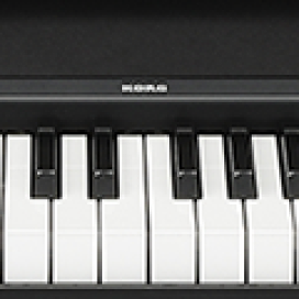楽天市場】MEDELI SP201 ブラック 電子ピアノ 88鍵盤 Xスタンド