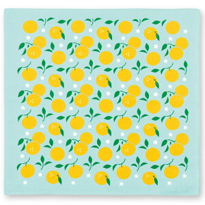 yC~z݂̏C~ Mq[ { C~ 50cm O  a ٓObY `NX itL ٓ a t[c ʕ 䂸 Y F ~g ]