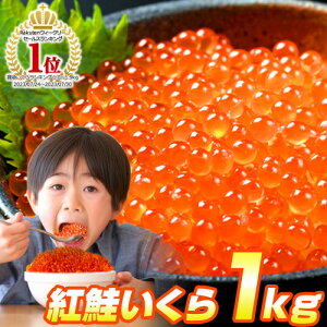 y 11~^g z g  傤Ђ 1kg | 500g × 2pbN AJY CNݖЂ  ݖ g  ikura kCO 瘥 CN Mtg O i O