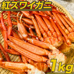 y kCY zg킢ɑ 1kg | 8O kC g킢I gYCI gYC g킢 gYCKj g킢 gYCI gYCKj g킢ɑ gYC  
