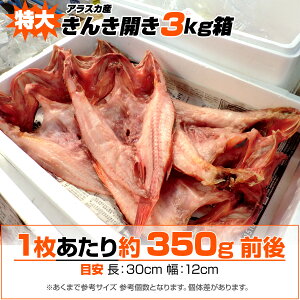 y  z񂫊J 350gO | 3kg  LL g L`W LLJ LL銱 񂫈銱 kC J  銱 Ђ ڂ 񂫂̊ LL̊ 