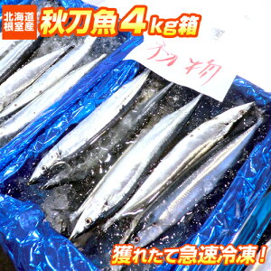 y kCY z Y H 4kg | 20O T}  H kCY kC Y   m ^ Ⓚ }Ⓚ Ⓚ ⓀH Mtg OMtg Mtg