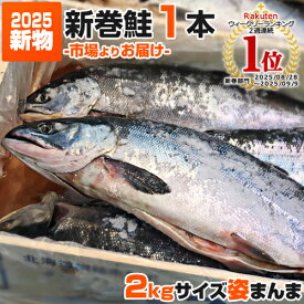 【 2.9円 ～ 4.0円 ／ g 】 令和7年産 新物 新巻鮭 北海道産 1尾 | 2kgサイズ 新巻き鮭 塩鮭 塩漬け 姿 鮭 北海道 一本もの シャケ しゃけ サケ さけ 産地直送 1本 ギフト 国産 内祝い お祝い 贈答品 贈り物 塩引鮭 塩引き鮭 秋ジャケ 贈答可 お祝い品 お祝い 白鮭 秋鮭 秋